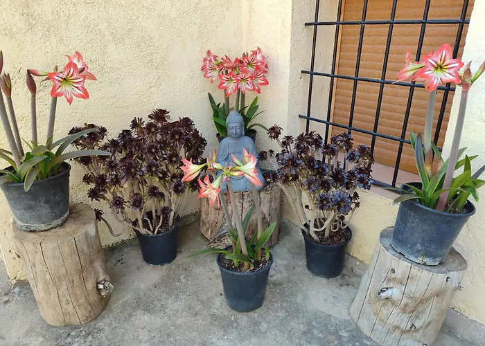 Vivienda Rural Belen