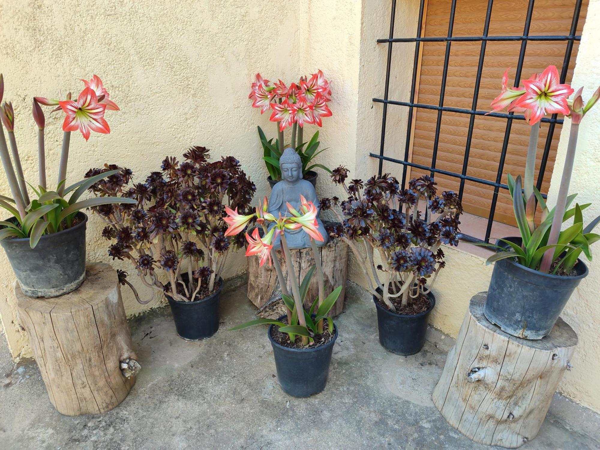 Vivienda Rural Belen
